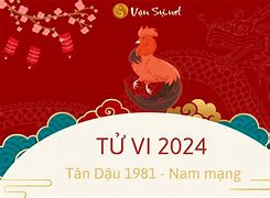 1981 Năm 2024 Nam Mạng