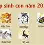 1992 Sinh Con Năm 2024 Có Hợp Không