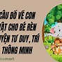 Câu Đố Vui Về Con Vật