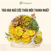 Hoa Quả Sấy Detox