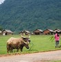 Quảng Bình Có Làng Du Lịch Tốt Nhất Thế Giới