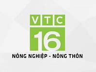 Xem Trực Tiếp Vtc News Online Hd Hôm Nay